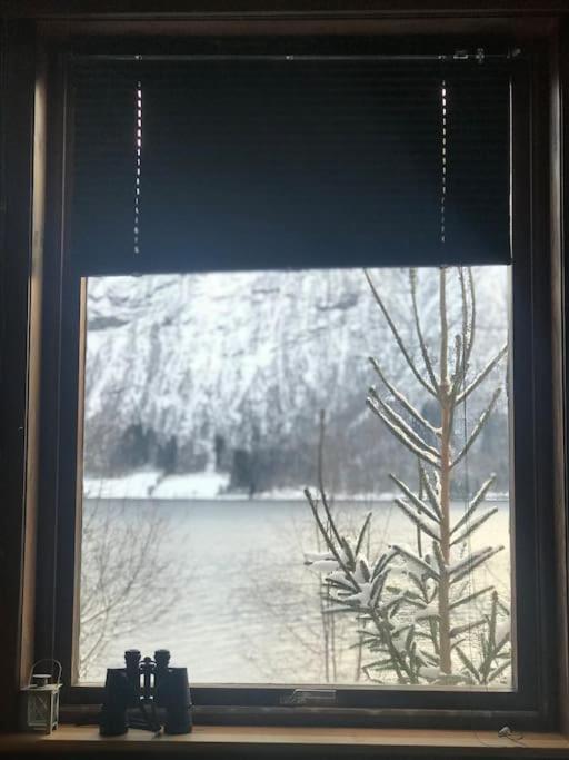 Apartment With Lake View In Jolster Årdal Εξωτερικό φωτογραφία